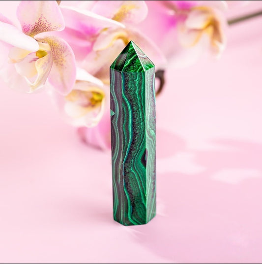 Malachite Phoenix Crystal Point by Worn Within