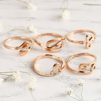 Lucky Zodiac Ring by Worn Within