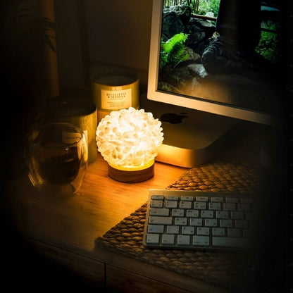 Clear Quartz Crystal Lamp